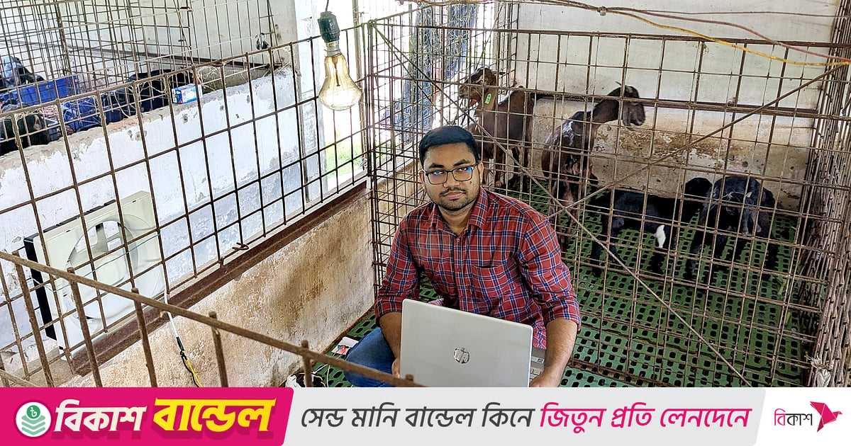 খামারের তাপ নিয়ন্ত্রণ করবে এআই, বাকৃবির শিক্ষার্থীর গবেষণা