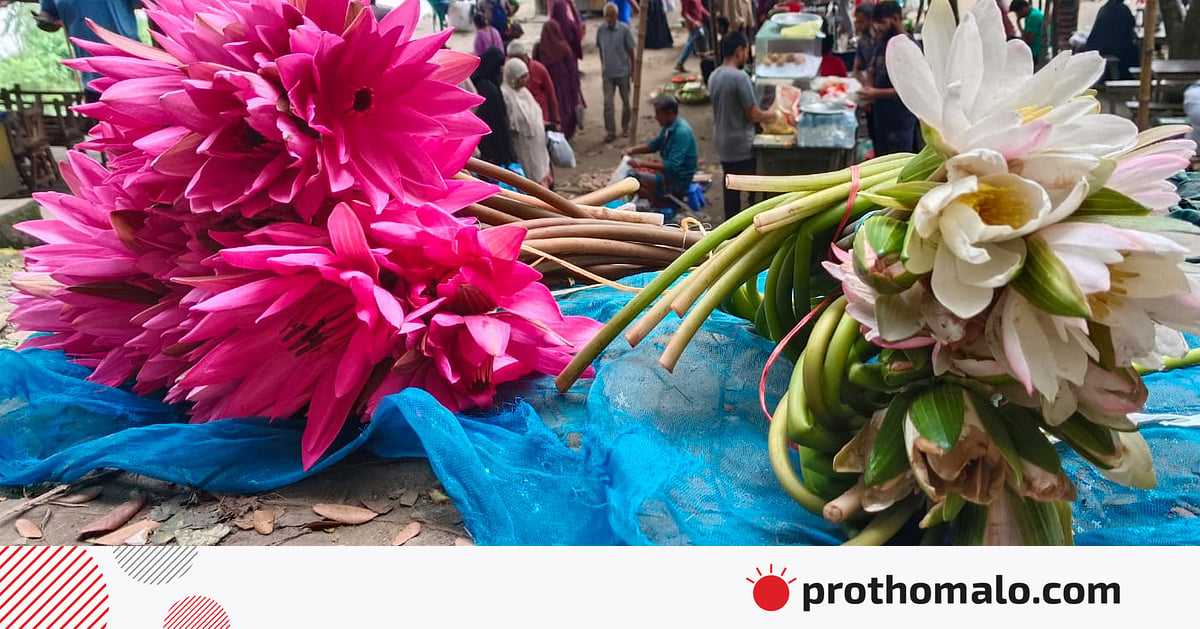 একঝলক(১৫ সেপ্টেম্বর ২০২৫)