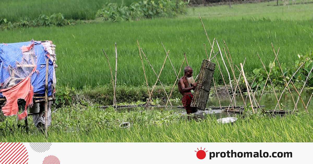 একঝলক (১৩ সেপ্টেম্বর ২০২৫)